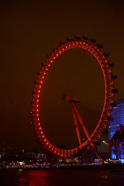 DSC_5739 (Large).JPG